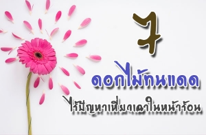 7 �͡��鷹ᴴ ���ѭ�����������˹����͹