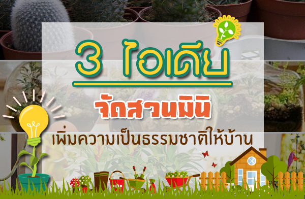 3 ����¨Ѵ�ǹ�Թ� ���������繸����ҵ�����ҹ