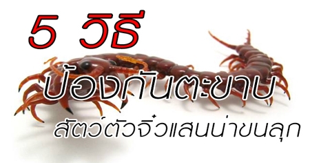 5 �Ըջ�ͧ�ѹ�ТҺ �ѵ���Ǩ��Ƿ���Ң��ء