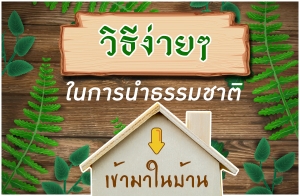 �Ըէ���� 㹡�ùӸ����ҵ������㹺�ҹ