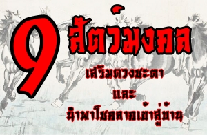 9 �ѵ������ ������ǧ�еҪ��Ե ��йӾ�⪤����������ҹ