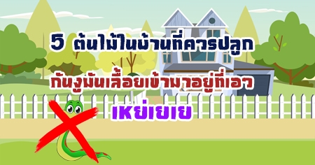 5 �����㹺�ҹ����û�١ �ѹ���ѹ�������������������� ��������