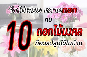 �Ѵ�������´͡ �Ѻ 10 �͡������� ����û�١���㹺�ҹ