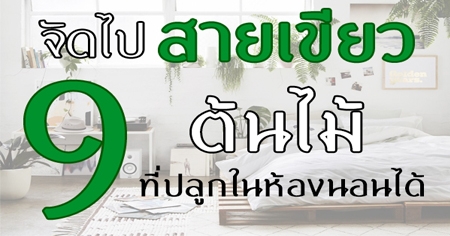 �Ѵ�������� �Ѻ 9 ��������١���ͧ�͹��