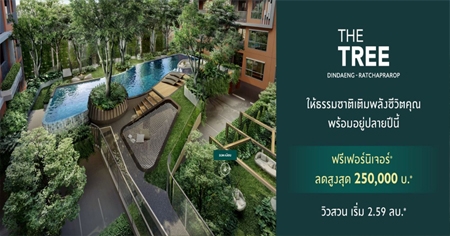 �ġ�� �Դ��ͧ����ǹ ��� ��� �Թᴧ - �Ҫ����� �͹ⴾ�������� ��� BTS ͹���������� ������� + Ŵ 250,000 �.* ����� 2.59 ��ҹ*