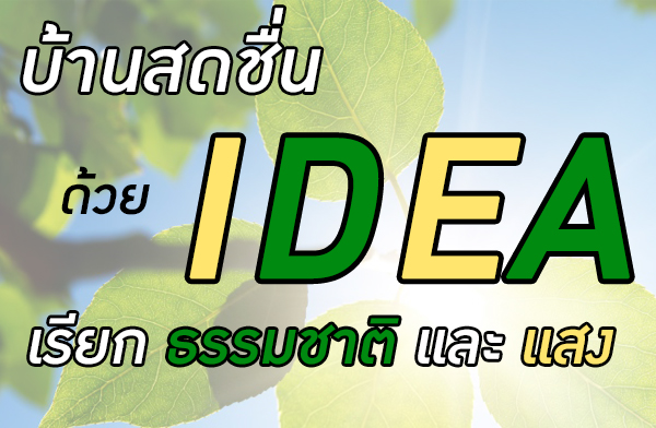 ��ҹʴ��� ������������¡�����ҵ� ����ʧ��Һ�ҹ