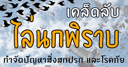 ����Ѻ ��蹡���Һ ������ӨѴ�ѭ�����ʡ�á ����ä���