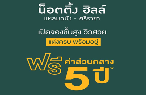 �Դ�ͧ ��͵��� ����� ������ѧ - ����Ҫ� �͹�㨡�ҧ������ѧ