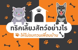 ��Ԥ����§�ѵ�����ҧ�� ������ú�ǹ���͹��ҹ