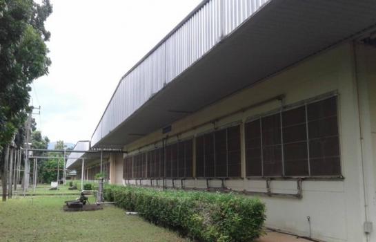 ����ç�ҹ �Ҫ���� ���ͧ