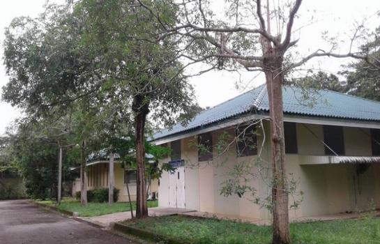 ����ç�ҹ �Ҫ���� ���ͧ