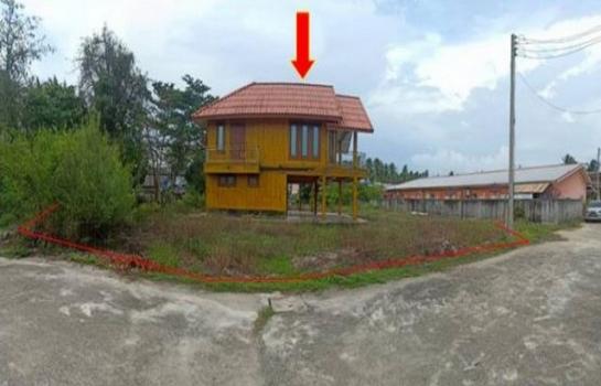 ��º�ҹ �Ԫ� �����ո����Ҫ