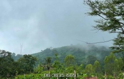 jingjai