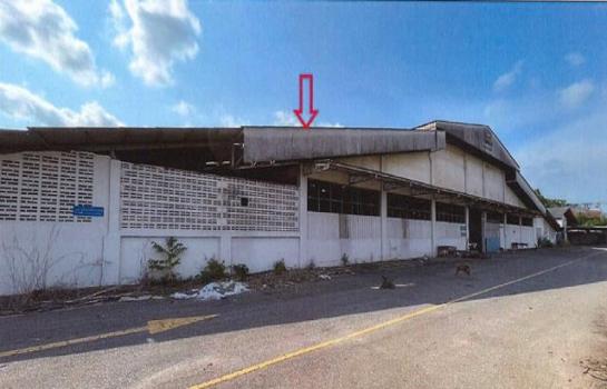 ����ç�ҹ �Ҫ���� ���ͧ