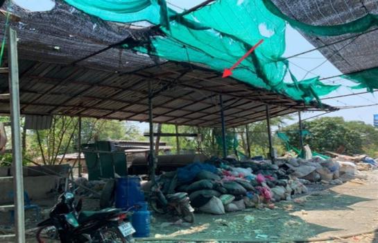 ��º�ҹ �͹��� ��û��