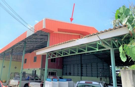 ��º�ҹ �͹��� ��û��