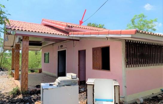 ��º�ҹ �͹��� ��û��