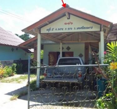 ��º�ҹ ��ҧ �����ո����Ҫ