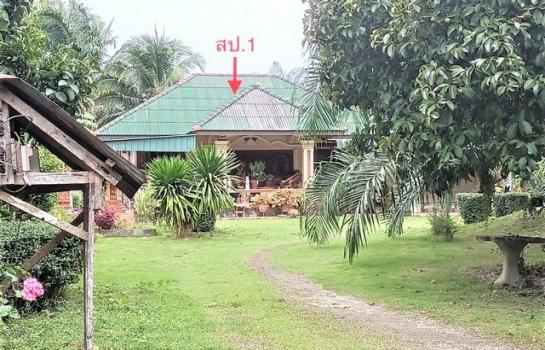 ��º�ҹ �͹�ѡ ����ɮ��ҹ�