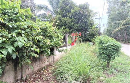 ��º�ҹ �͹�ѡ ����ɮ��ҹ�