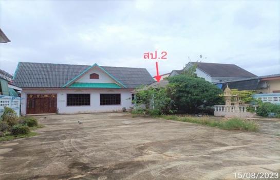 ��º�ҹ �͹�ѡ ����ɮ��ҹ�