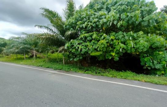 ��º�ҹ ��ҧ �����ո����Ҫ