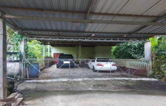 ��º�ҹ ��ҧ �����ո����Ҫ