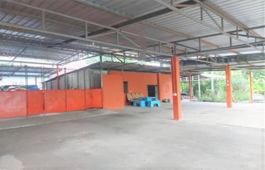 ��º�ҹ ��ҧ �����ո����Ҫ