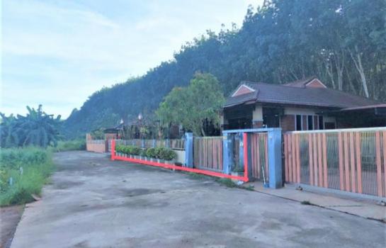 ��º�ҹ ��ҧ �����ո����Ҫ