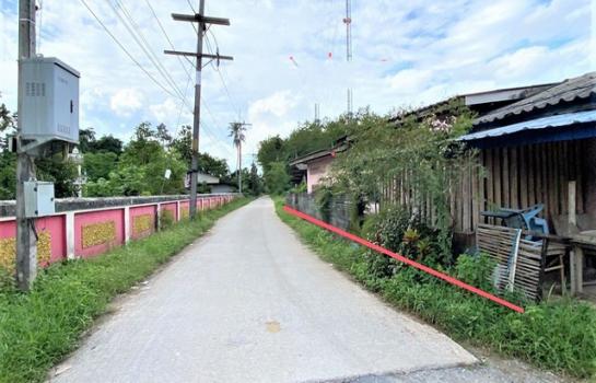 ��º�ҹ ��ҧ �����ո����Ҫ