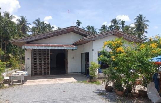 ��º�ҹ �Ԫ� �����ո����Ҫ