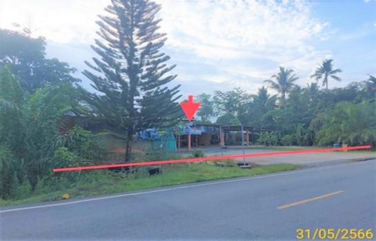 ��º�ҹ ��ҧ �����ո����Ҫ