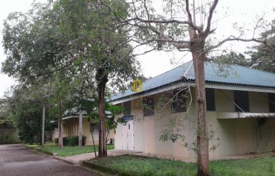 ����ç�ҹ �Ҫ���� ���ͧ