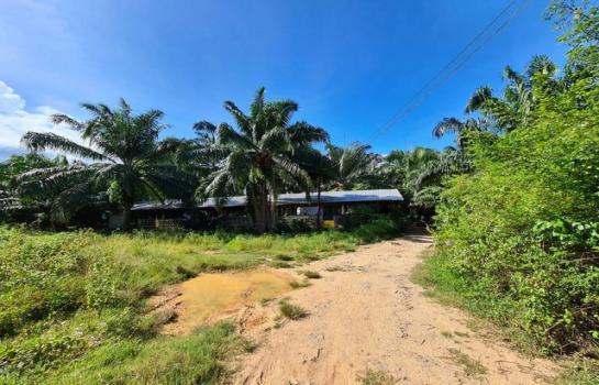 ��º�ҹ �Ԫ� �����ո����Ҫ