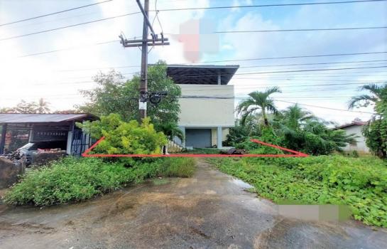 ��º�ҹ �͹�ѡ ����ɮ��ҹ�