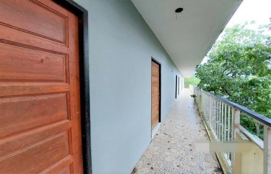 ��º�ҹ �͹�ѡ ����ɮ��ҹ�