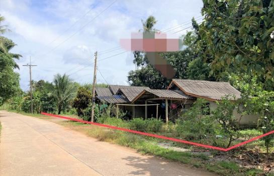 ��º�ҹ ����ʧ ����ɮ��ҹ�