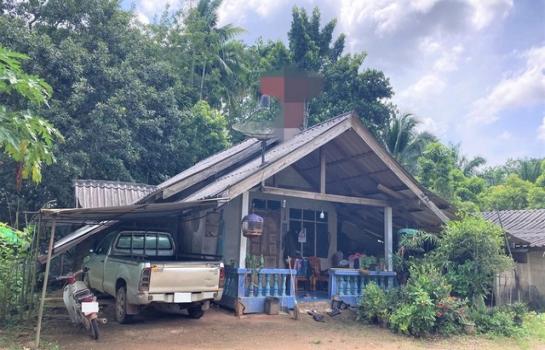 ��º�ҹ ����ʧ ����ɮ��ҹ�