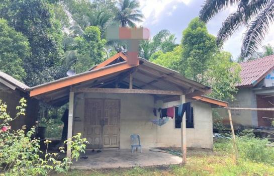 ��º�ҹ ����ʧ ����ɮ��ҹ�