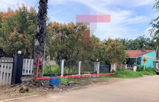 ��º�ҹ ����ʧ ����ɮ��ҹ�