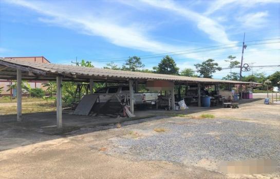 ����Ҥ�þҳԪ�� ��Ҫ�� ����ɮ��ҹ�