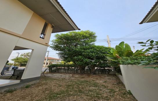 ��º�ҹ �ҧ��� ��طû�ҡ��