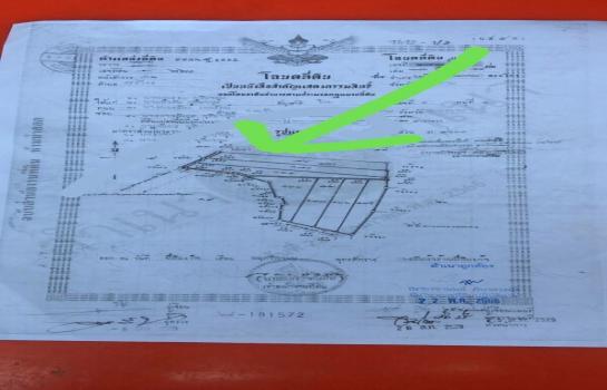 ��º�ҹ ����� ˹ͧ���