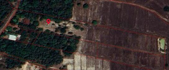 ��º�ҹ ����� ˹ͧ���