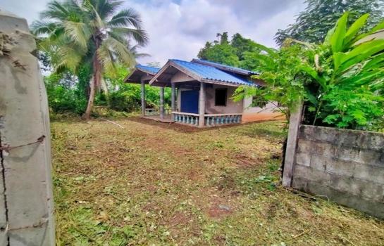 ��º�ҹ ����� ˹ͧ���