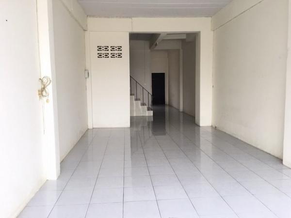 ����Ҥ�þҳԪ�� �ع�Թ ����ɮ��ҹ�