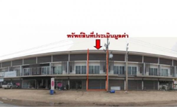 ����Ҥ�þҳԪ�� ��º��� ����ɮ��ҹ�