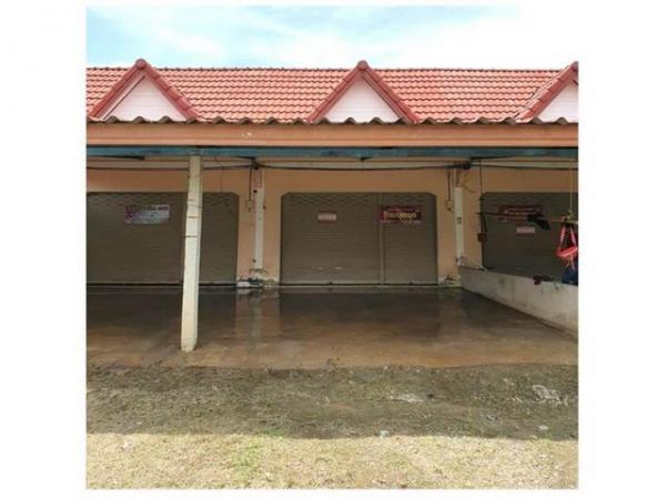 ����Ҥ�þҳԪ�� ����ʧ ����ɮ��ҹ�