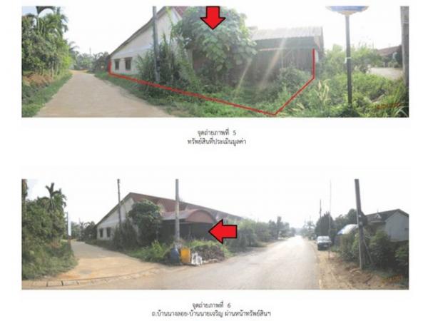 ����Ҥ�þҳԪ�� ����ʧ ����ɮ��ҹ�