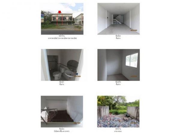 ����Ҥ�þҳԪ�� �͹�ѡ ����ɮ��ҹ�